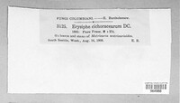 Image Associated With the Occurence